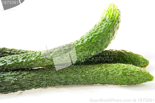 Image of Cucumber