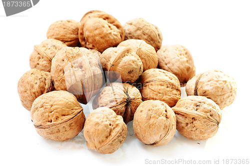 Image of Walnut