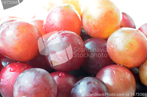 Image of Grapes