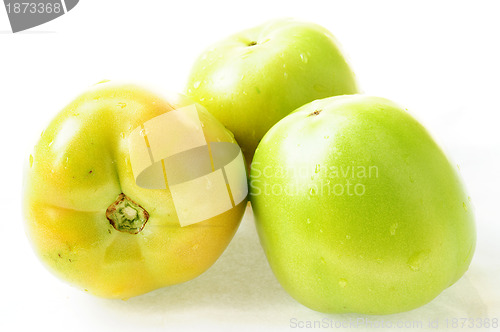 Image of Fresh green tomatoes