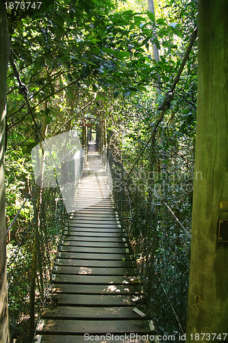 Image of Suspended Bridge