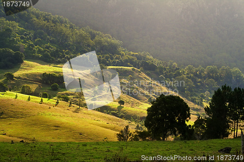 Image of Rolling Hills