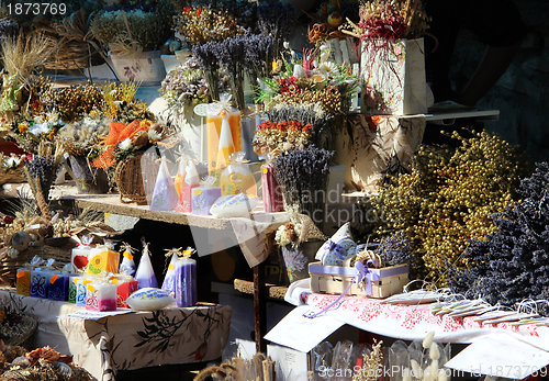 Image of Natural souvenirs