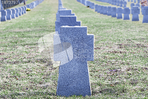 Image of Soldiers' graves