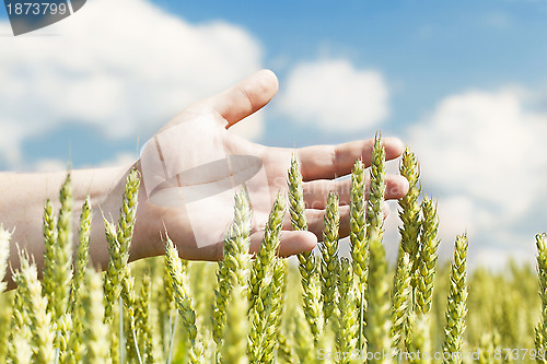 Image of Hands near ears