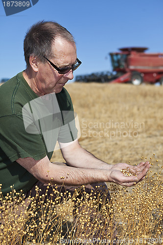 Image of farmer holding flax seeds