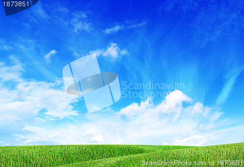 Image of field