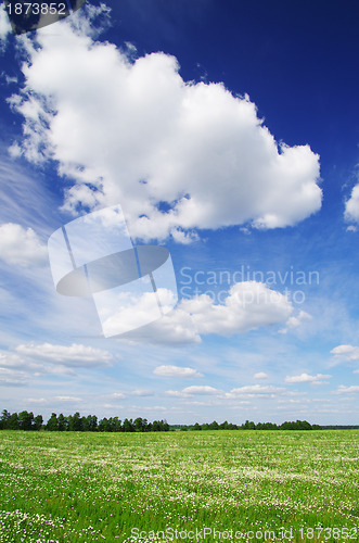 Image of field 