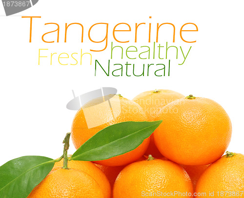 Image of Tangerine