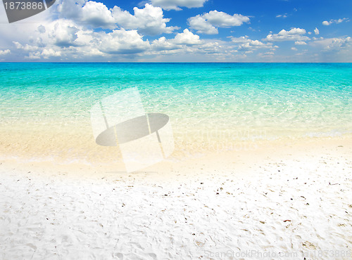 Image of  sea