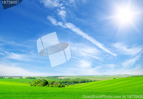 Image of green field and blue sky