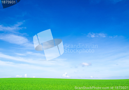 Image of field