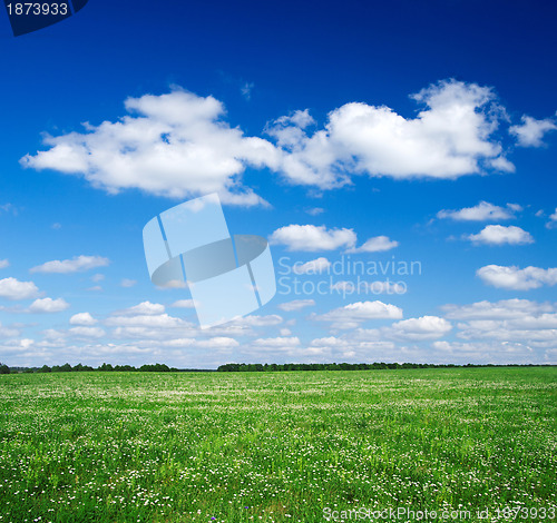 Image of green field