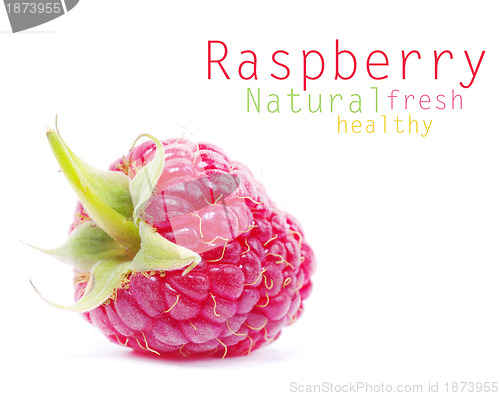 Image of fresh raspberry