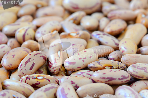 Image of Close-up dry white beans on natural light