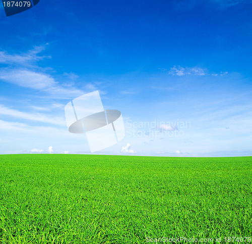 Image of field
