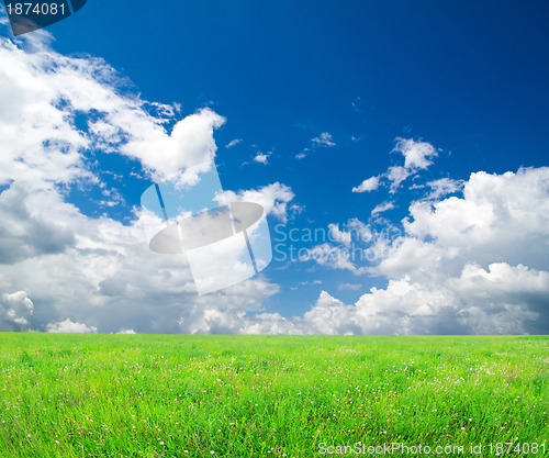 Image of field