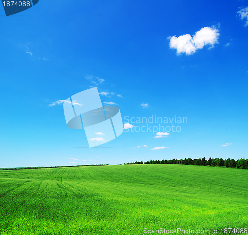 Image of green field