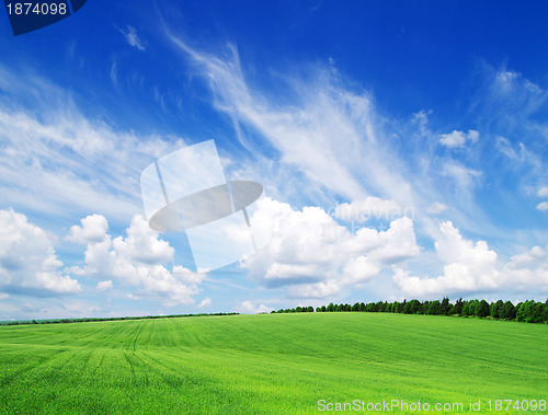 Image of green field