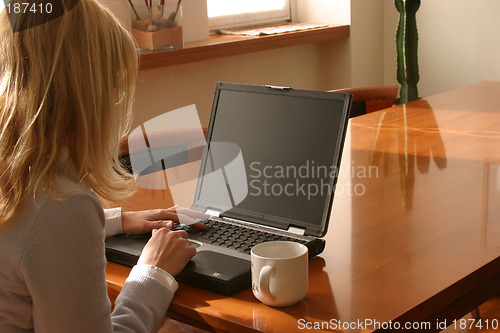 Image of woman working at the laptop