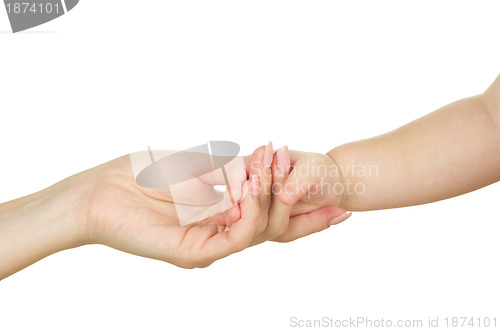 Image of Baby hand holding mother hand