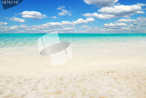 Image of  sea