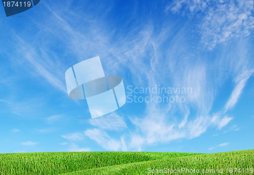 Image of field