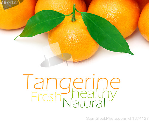 Image of Tangerine