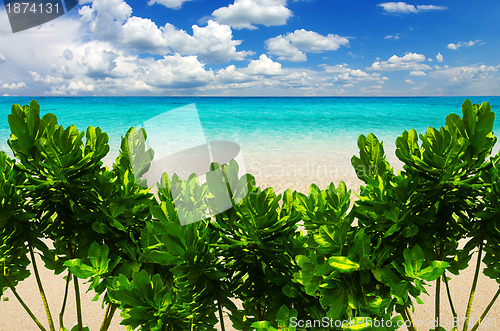 Image of  sea