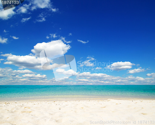 Image of  sea