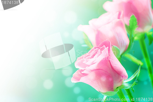 Image of red rose 