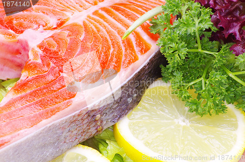 Image of raw salmon