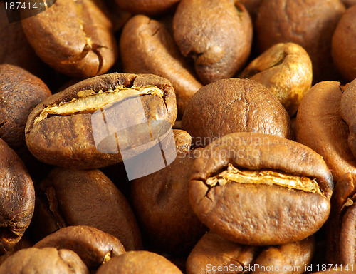Image of coffee beans