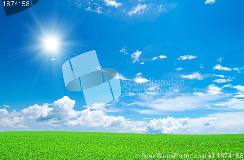 Image of field