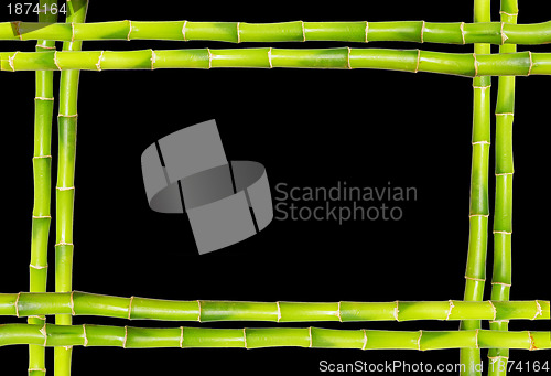Image of  bamboo frame