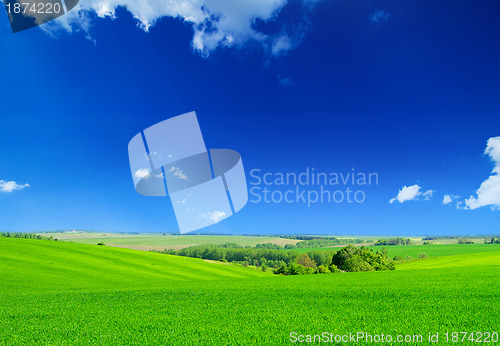 Image of green field and blue sky