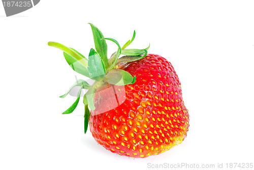 Image of  strawberry 