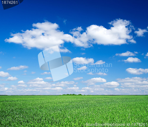 Image of green field