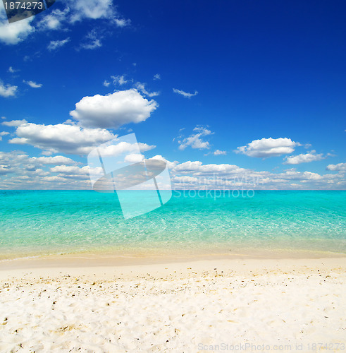 Image of  sea