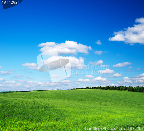 Image of green field