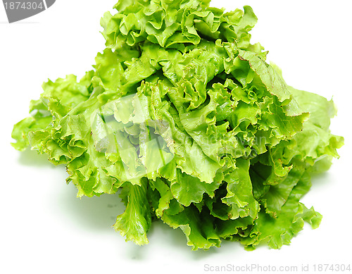 Image of lettuce