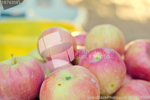 Image of Red apple