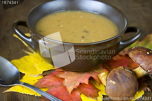 Image of Mushroom soup