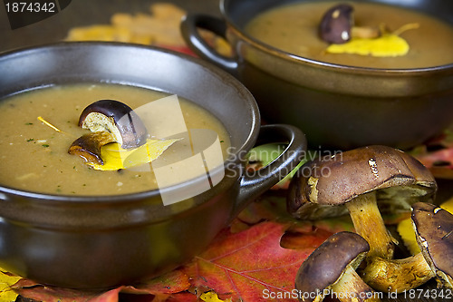 Image of Mushroom soup