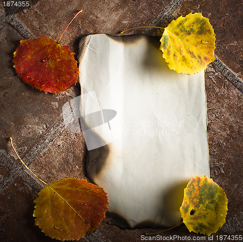 Image of Autumn card of colored leafs