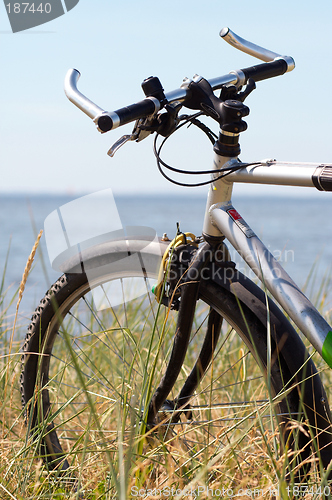 Image of Bike in the grass.