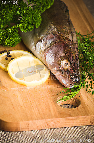 Image of Pike perch on a wooden kitchen board 