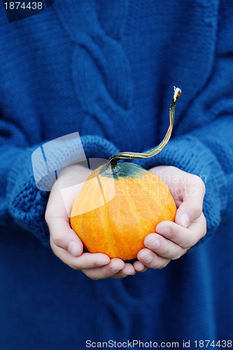 Image of autumn