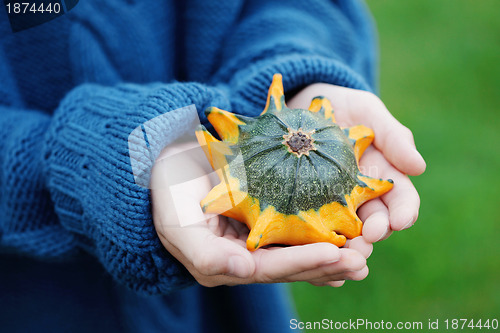 Image of autumn