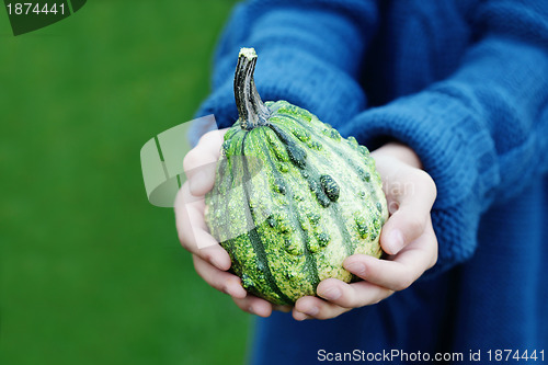 Image of autumn